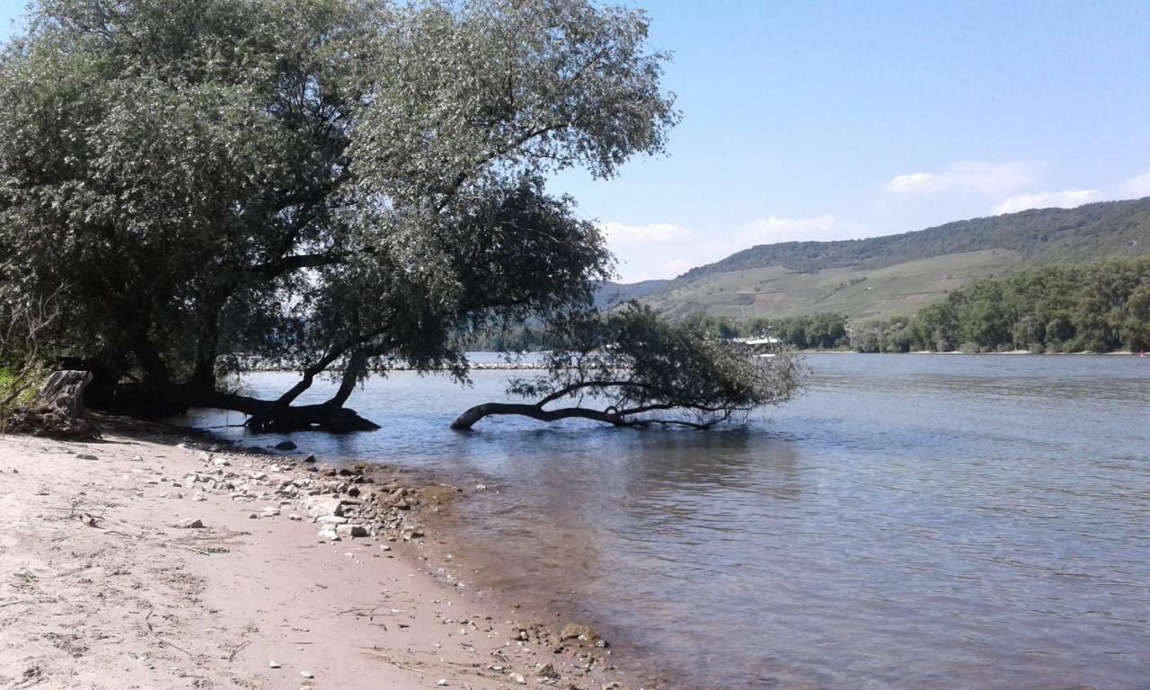 Fewo Batek Trechtingshausen Esterno foto